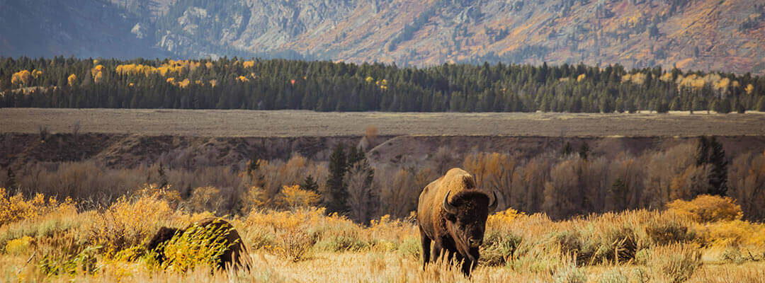 tim-peterson-1099515-unsplash